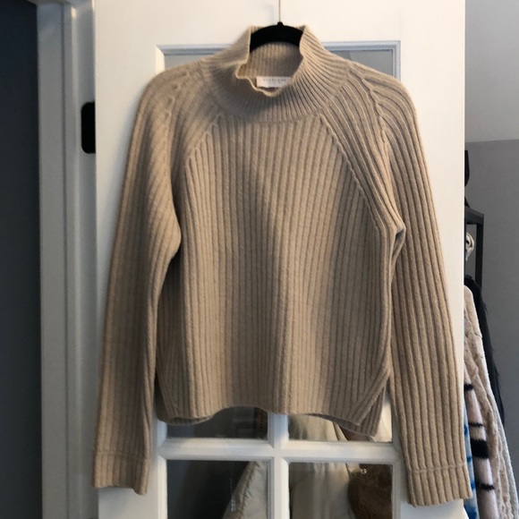 Everlane Sweaters - Everlane turtle neck sweater❤️